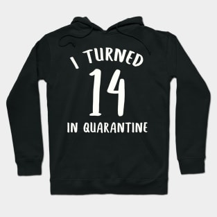 I Turned 14 In Quarantine Hoodie